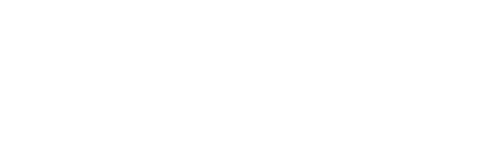 Orion - Logo blanc Orion - Logo blanc